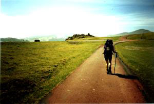 Chemin en Euskadi